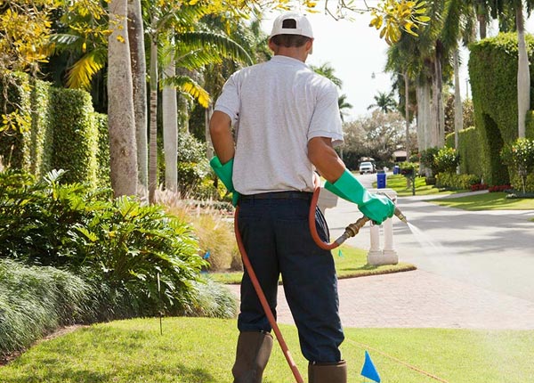 About Beulah MI Pest Control